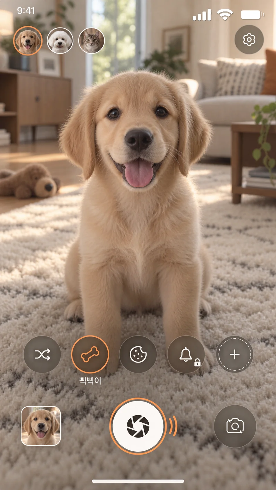 PawCam camera screen with a golden retriever looking at the lens